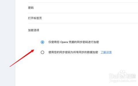 如何配置浏览器以启用加密功能？