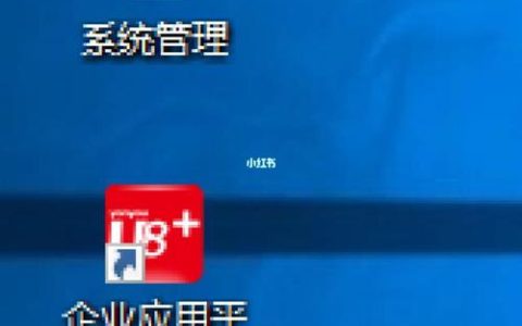 探究用友U8系统访问服务器时出现延迟的原因是什么？