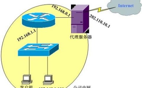 局域网内的服务器网络有何专称？