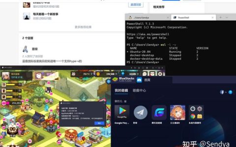 为何我无法在网易MuMu模拟器上找到我的服务器？