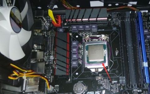 服务器主机CPU位于何处，深入了解Host CPU的位置与作用