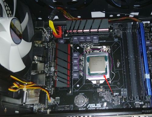 服务器主机cpu在哪里_Host CPU