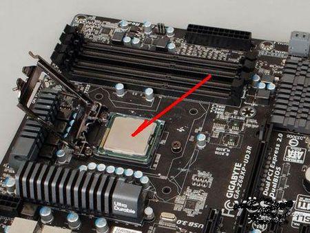 服务器主机cpu在哪里_Host CPU