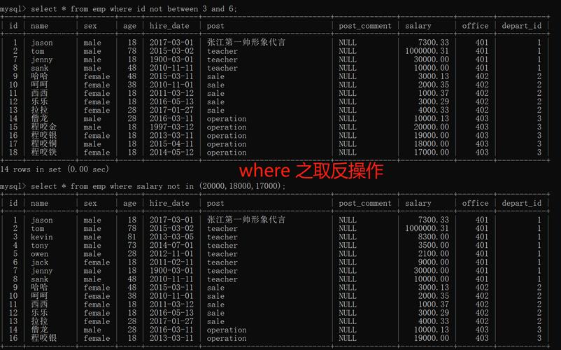 mysql关键字查询_关键字