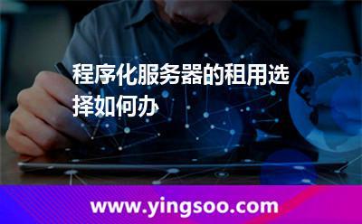 程序化需要什么样的服务器