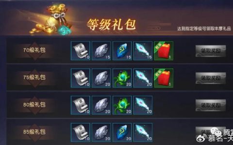 天下2定乾坤服务器礼包包含哪些内容？