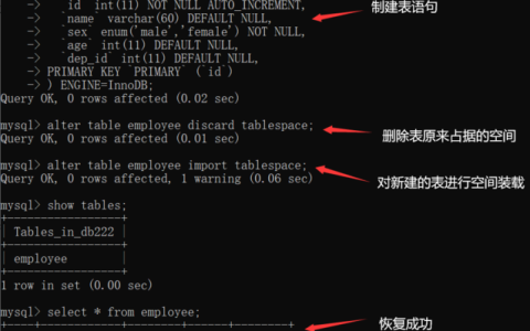 如何从MySQL中导出并查看特定表的创建语句?