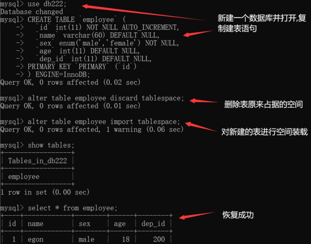 mysql导出建表语句_查看建表语句