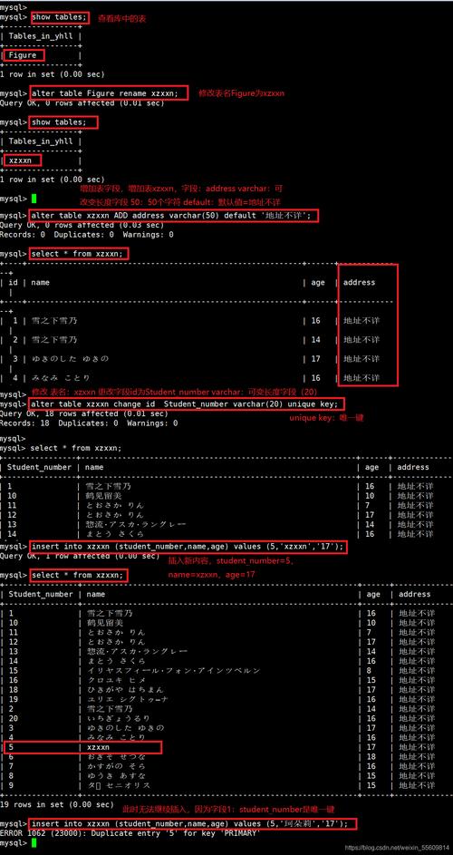 mysql创建的数据库保存在哪里_我的数据保存在哪里，是否安全