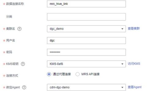 如何在MRS环境中建立与Hive的连接？