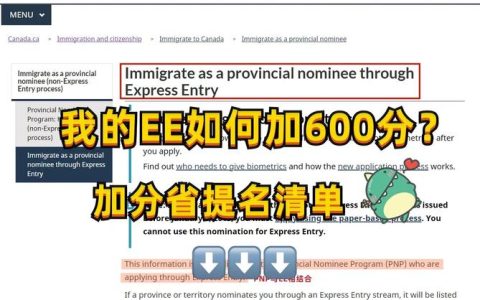 菜单入口配置: 如何优化用户界面以提高导航效率？