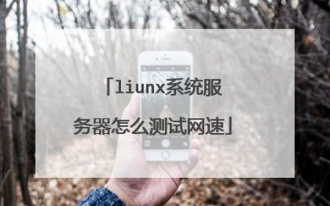 为何网速测试服务总是选择远离本地的服务器?