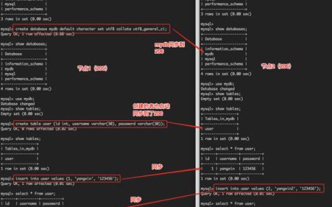 如何正确设置MySQL数据库的配置文件夹以优化性能？