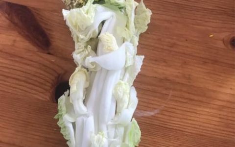 大白菜ISO文件应该存放在哪个位置？