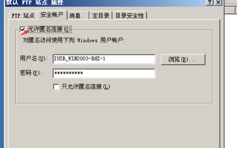 如何解决访问FTP服务器时遇到的空白页面问题？