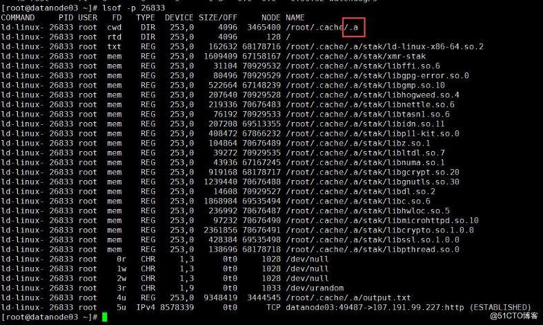 为什么服务器都黑了呢怎么回事