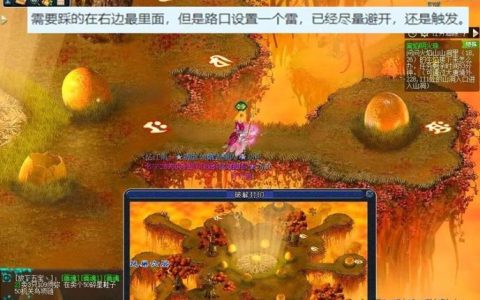 梦幻西游的第三个服务器具体是指哪个？