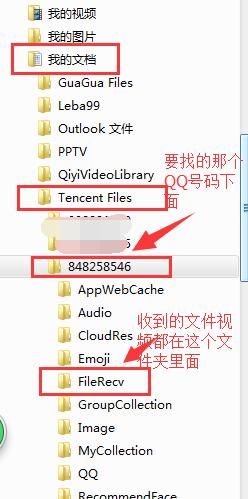 网页的视频文件在哪里
