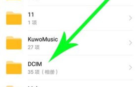 如何查找网页中的视频文件位置？