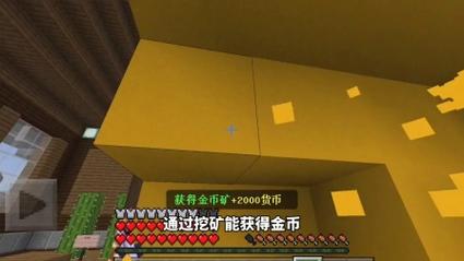 我的世界金币类服务器有什么用