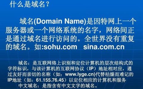 域名究竟是不是服务器的名称？揭秘其背后的真相！