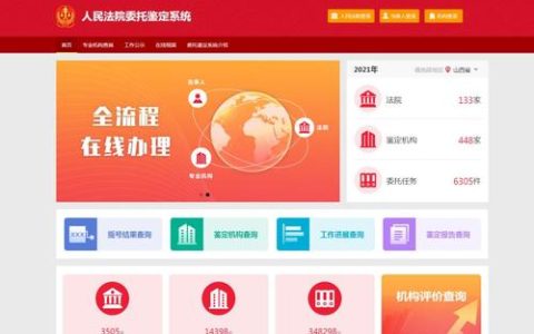 如何有效地建设和优化法院网站以提升司法透明度和公众服务？
