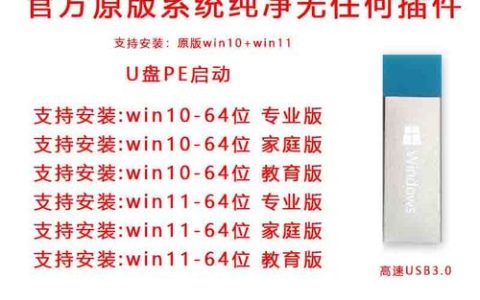 如何将Windows 10操作系统安装在U盘上？