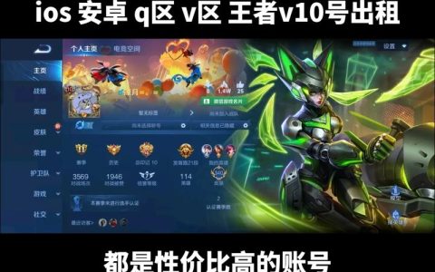 什么是王者荣耀租号服务器？