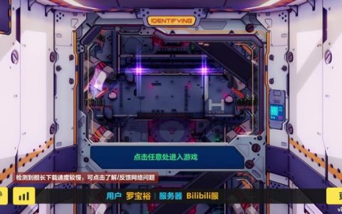 崩坏3玩家通常选择哪个服务器进行游戏？