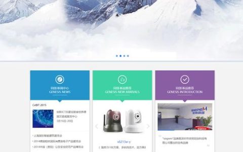 如何高效利用网站模板建设专业级网站？