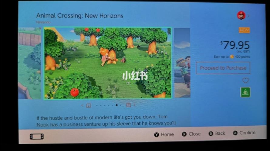 动森商店卖的服务器什么用