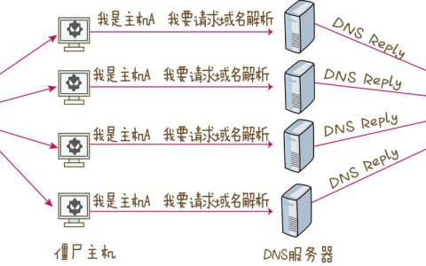 DNS服务器解析的物理地址是什么？