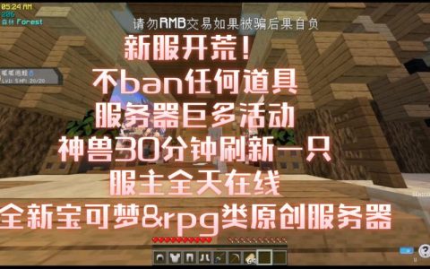 宝可梦服务器数量庞大的背后原因是什么？