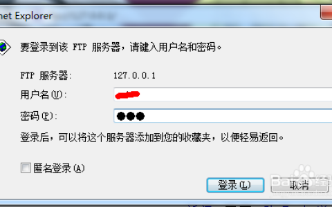如何直接进入FTP服务器进行文件传输？