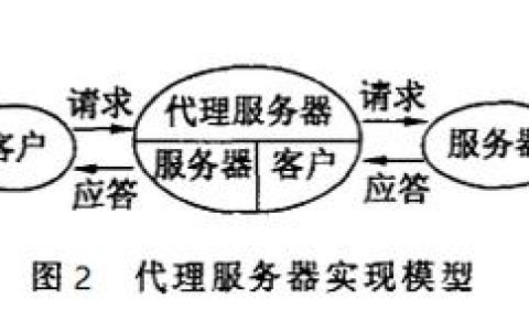 代理服务器名称具体指的是什么？