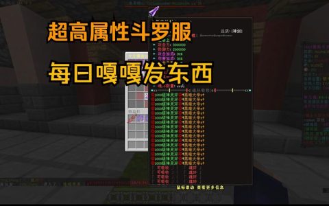 在斗罗大陆中，昊天服务器具体指的是什么？