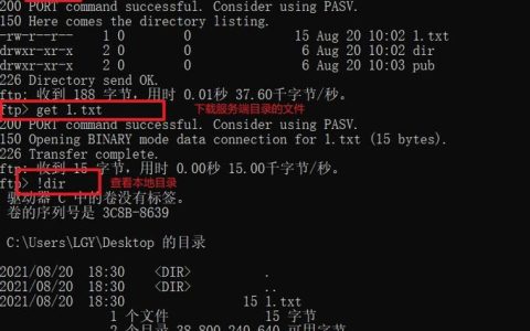 如何通过命令行访问FTP服务器共享资源？