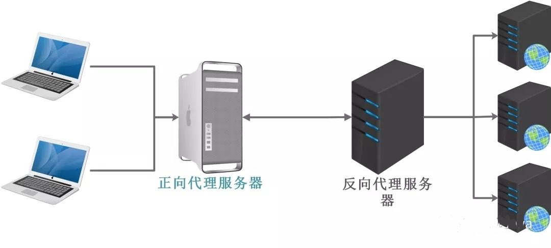 代理服务器一般和什么共用