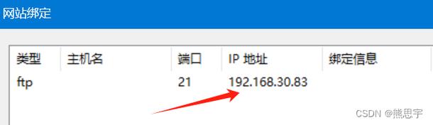 ftp服务器自动更新软件_FTP