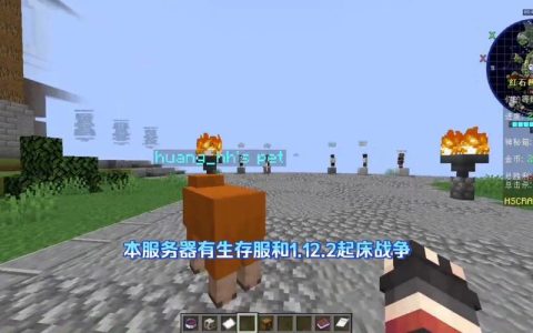 迪哥起床战争究竟采用了哪款服务器？
