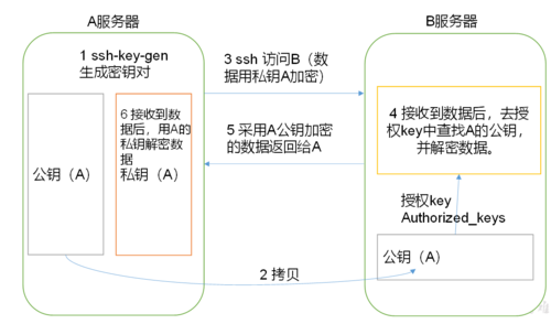 免密sudo_配置BMS集群互相免密登录