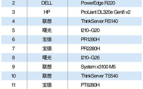服务器民营企业名称有哪些？