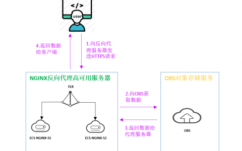 反向代理数据库安全_通过Nginx反向代理访问OBS