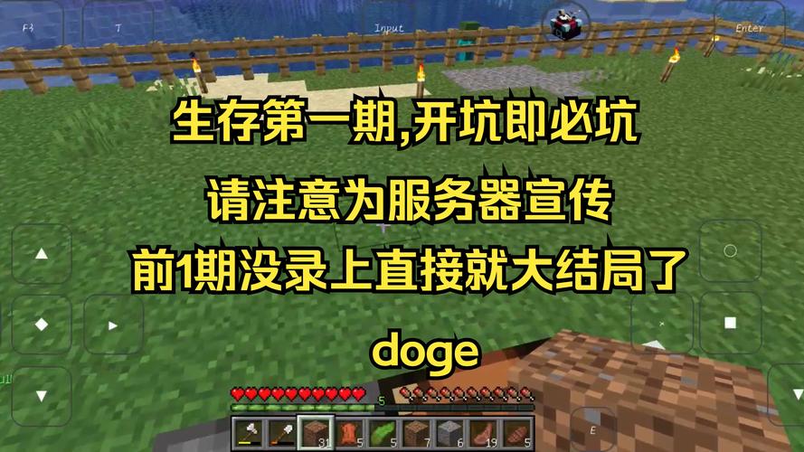 在服务器里生存的游戏叫什么