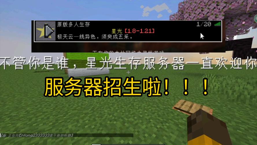 在服务器里生存的游戏叫什么