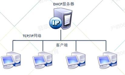 启动dhcpv6服务器有什么用
