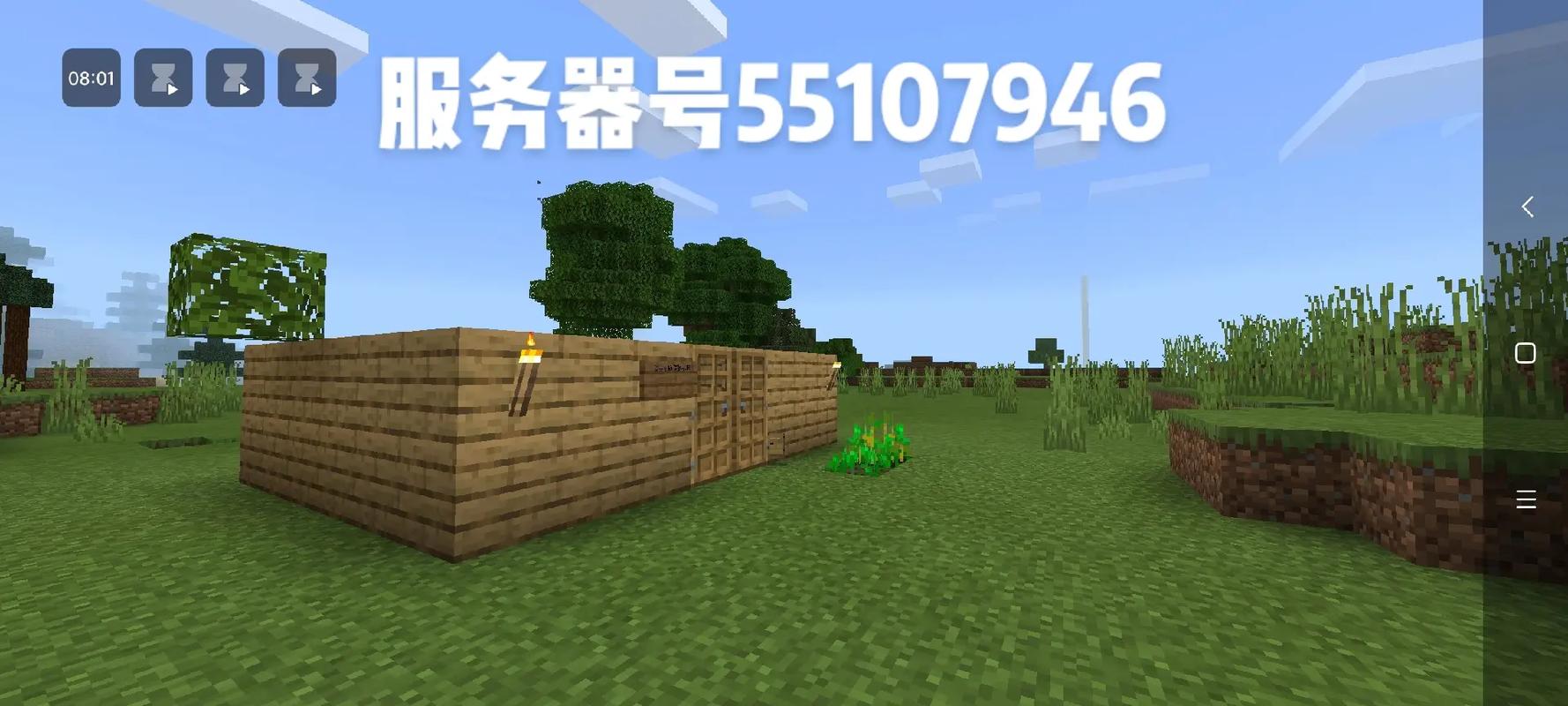 阿葵亚丶mc的服务器叫什么