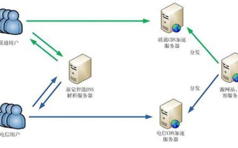 服务器和域名在网络世界中扮演着哪些关键角色？