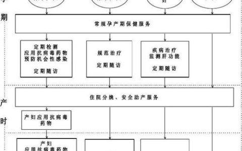 如何构建高效的母婴网站建设方案与制度建设？