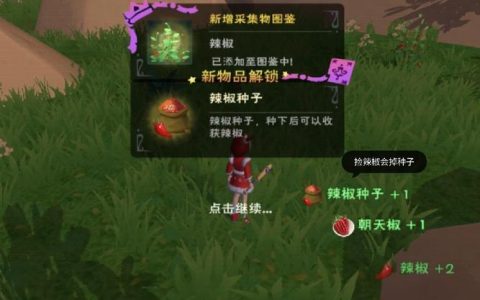 什么是创造与魔法游戏中的绿色服务器？